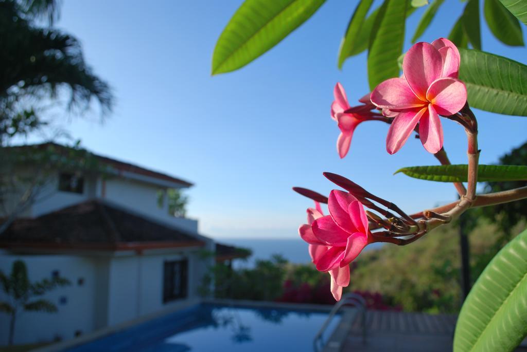 Hotel Casa Frangipani Montezuma Exterior foto